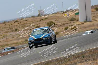 media/May-03-2025-Lucky Dog Racing (Sat) [[206de64b9d]]/Turn 6 (150pm-230pm)/